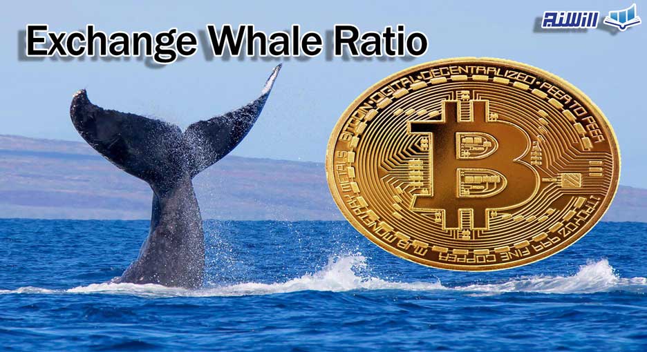 شاخص اکسچنج ویل ریشیو Exchange Whale Ratio